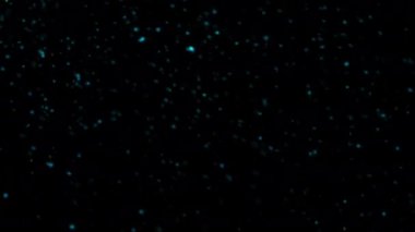 Siyah zemin üzerinde kar mavisi düşen soyut döngüsü 4K pürüzsüz döngü Kış için yeni yıl temalı zemin 