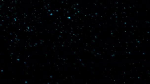 Abstract Loop Falling Snow Blue Black Background Seamless Loop New — Videoclip de stoc