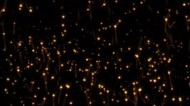 Soyut döngü birçok ışıltı parçacıkları siyah arka planda süzülür 4K 3D kusursuz döngü animasyonu. Kış tatili konsepti, Mutlu Noeller, yeni yıl, düğün, kutlama