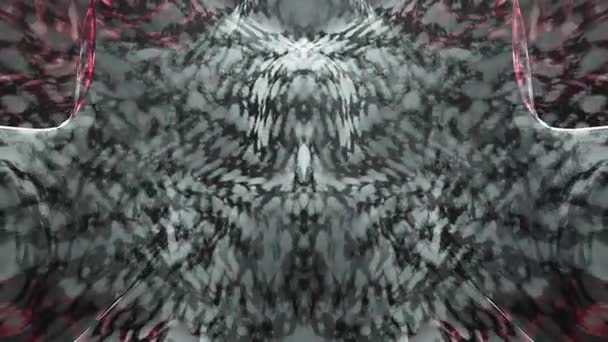 Абстрактний Гранжевий Симетричний Чорно Білий Чужий Візерунок Перехідний Фон Потоку — стокове відео
