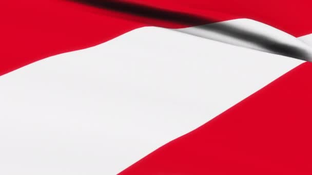 环状奥地利国旗在风向纹理背景下飘扬 哥伦比亚国旗视频在风中飘扬 — 图库视频影像