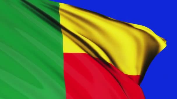 Loop Benin Flag Waving Wind Texture Background Monaco Flag Columbia — Stock Video
