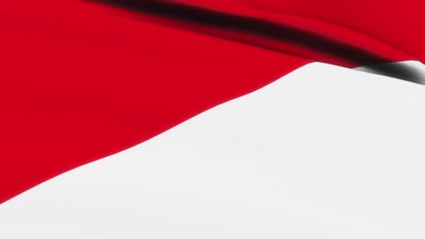 Петля Флага Монако Машущего Фоне Текстуры Ветра Флагом Монако Колумбийский — стоковое видео