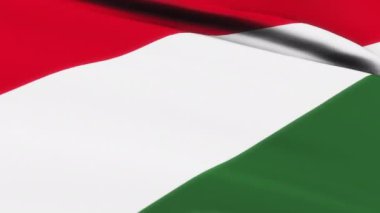 Arka planda rüzgarda sallanan Aç Bayrak Döngüsü. Rüzgarda sallanan aç bayrak videosu