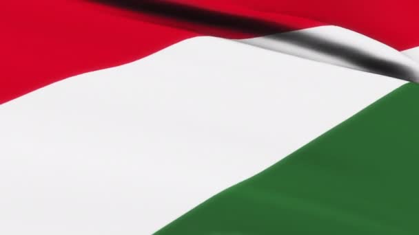 Loop Van Hongerige Vlag Zwaaien Wind Textuur Achtergrond Hongerige Vlag — Stockvideo