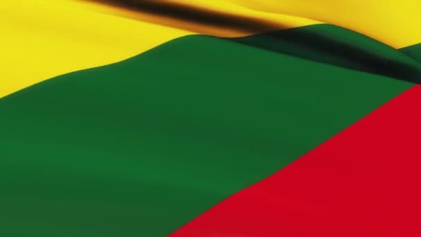 在风向纹理背景下飘扬的立陶宛国旗环状图案 立陶宛国旗视频在风中飘扬 — 图库视频影像