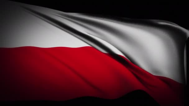 Σημαία Της Πολωνίας Κυματίζει Στο Φόντο Της Σκοτεινής Υφής Πολωνία — Αρχείο Βίντεο