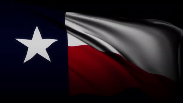 Boucle Drapeau États Unis Texas Agitant Texturedans Fond Sombre Drapeau — Video