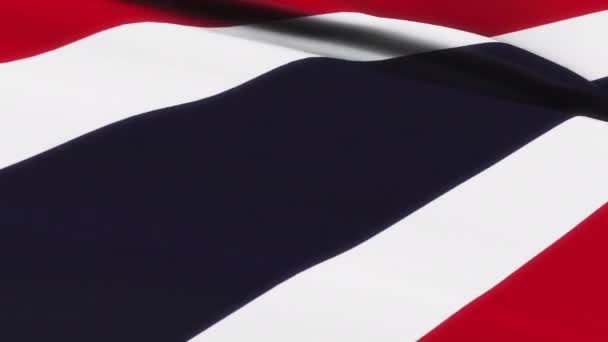 Loop Thailand Flag Waving Texture Background Thailand Flag Video Waving — стокове відео