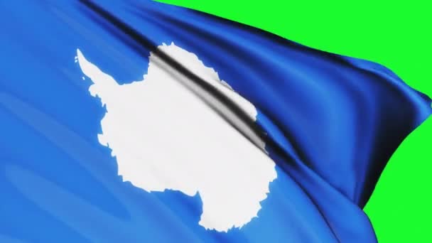 Schleife Der Antarktis Flagge Weht Auf Grünem Bildschirm Textur Hintergrund — Stockvideo