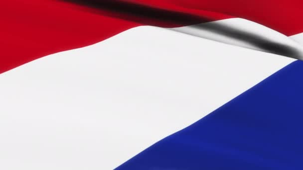 네덜란드 국기가 배경을 흔들고 있습니다 플래그 비디오 바람에 흔들고 — 비디오