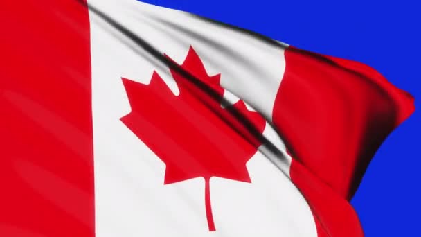 Loop Canada Flag Waving Wind Texture Blue Screen Background Canada — 图库视频影像