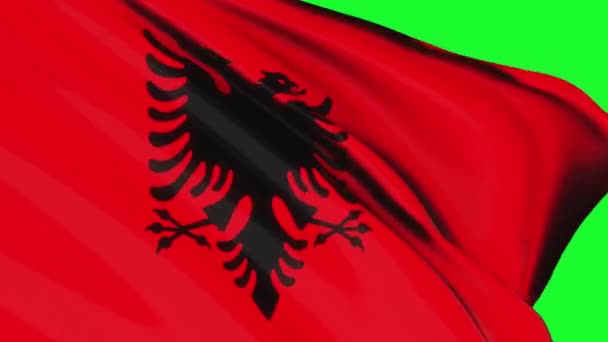 Loop Albania Flag Waving Wind Texture Green Screen Background Albania — Vídeos de Stock