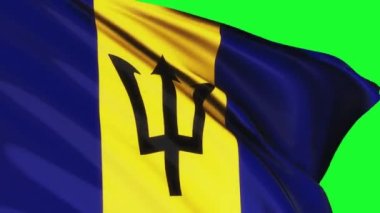 Loop of Barbados flag waving in wind on green screen texture background. Barbados flag video waving in wind