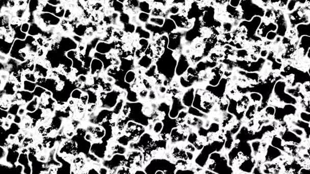 Animation Grunge Motion Grunge Black White Fractal Noise Texture Animation — Stockvideo