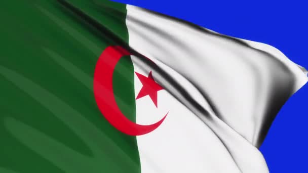 Smyčka Vlajky Alžírska Vlnící Textuře Větru Pozadí Modré Obrazovky Alžírská — Stock video