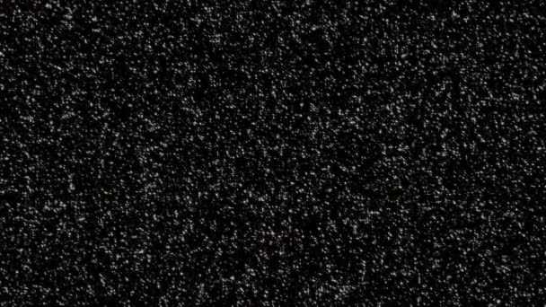 美しいループは 多くの白い星の粒子の動きが黒い抽象的な背景に輝く移動します 黒の背景映画のタイトルの白い星の粒子映画的背景ループ — ストック動画