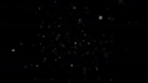 Abstract Loop Blurred Dust Particles Floating Black Background Your Screen — ストック動画