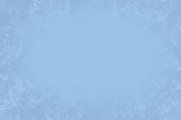 Hassas Mavi Arkaplan Yapraklı Gradyan Kış Duvar Kağıdı — Stok fotoğraf