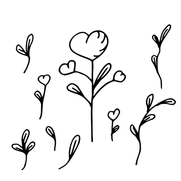 Corações com folhas em um fundo branco, um doodle é um símbolo de amor. — Vetor de Stock