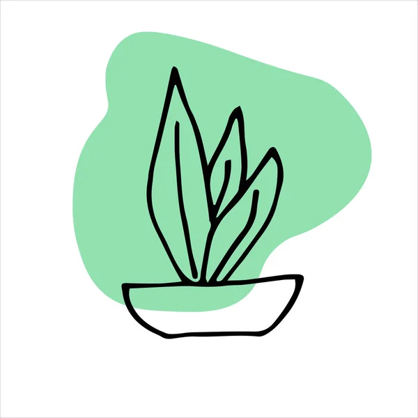 Doodle Vaso Planta Com Cor Verde Mancha Esboço Preto Desenhado — Vetor de Stock