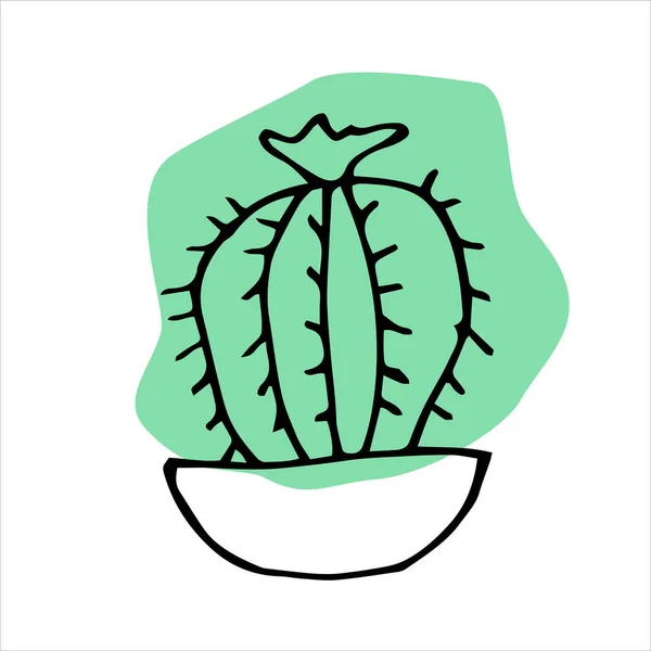 Flowering Cactus Pot Doodle Illustration Domestic Houseplant Scrabble Prickly Plant — Stock Vector