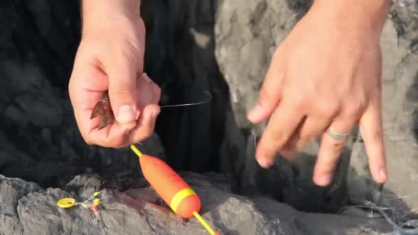Tangled fishing line, man attaches lead to tangled fishing line — Stock Video