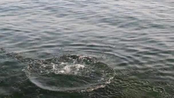 Taş atmak, denize taş atmak 3 versiyon, geniş orta boy yakın çekim — Stok video