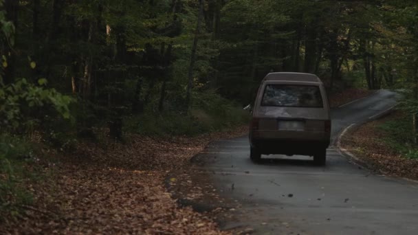 Прогулка по лесу, проезд на машине, в то время как два человека идут по лесной дороге. — стоковое видео