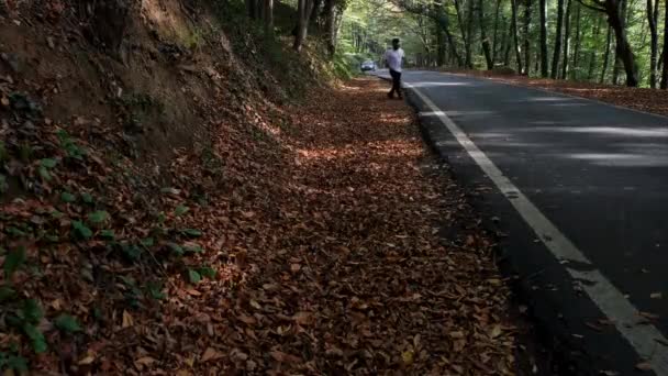 Turystyka, młody człowiek spacerujący po zadrzewionej drodze, wędrówka jesienią — Wideo stockowe
