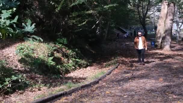 숲 속을 걷고 있는 사람, 걷고 있는 사람, 숲 속의 두 가지 형태 — 비디오