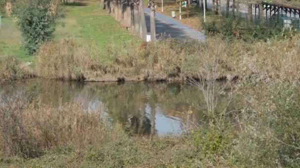 Canal d'eau, canal d'eau, les routes et les arbres peuvent être vus, ruisseau — Video