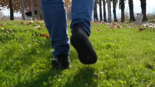 Spazierendes Gras, Mann geht im Herbst auf grünem Gras — Stockvideo