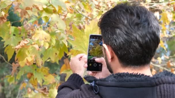 Sonbahar fotoğrafları çek, genç adam sonbaharda kuru yaprakların fotoğraflarını çek, sonbaharda, sonbaharda. — Stok video