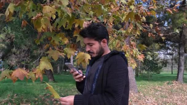 Kuru yaprak fotoğrafı, genç adam sonbaharda kuru yaprak fotoğrafı çekiyor. — Stok video