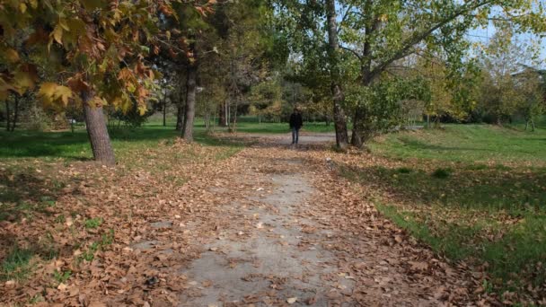 Spaziergang zwischen Blättern, junger Mann, der im Herbst zwischen trockenen Blättern wandelt — Stockvideo