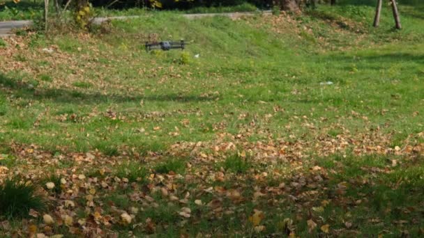 Drone otoño, drone flotando entre las hojas en otoño — Vídeos de Stock