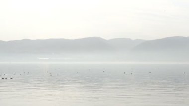 Dağ silueti, sisli havada dağ silueti, deniz ve kuşlar