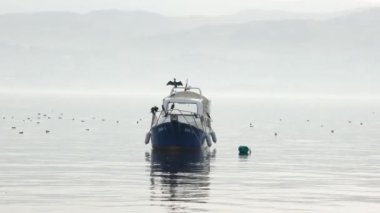 Deniz teknesi ve kuşlar sisli denizde bir tekne ve kuşlar görülür.