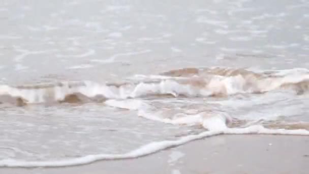 Beach and wave, waves on the beach in close-up — Stock video