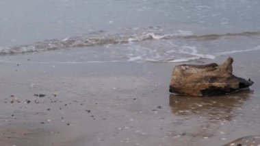 beached log, beached log by the sea, writing area