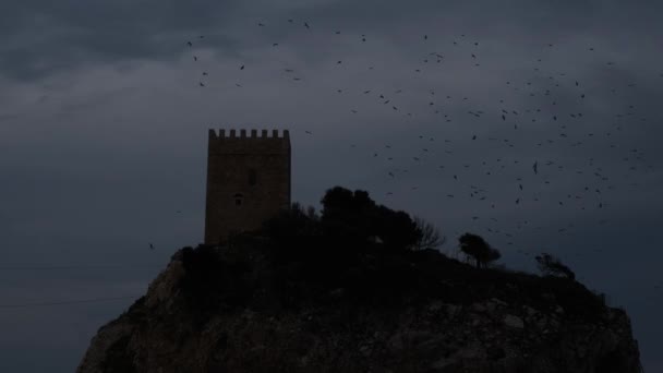 Castle, birds flying around the castle, evening — Vídeo de Stock