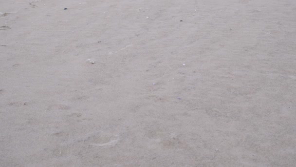 Footprints beach sand — Video Stock