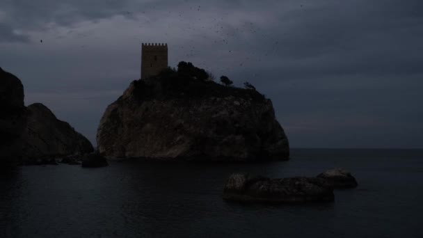 Castle and birds — Video