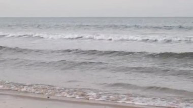 sea wave on autumn
