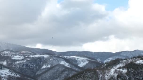 Снежные горы и птицы — стоковое видео