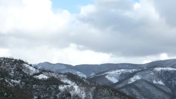 Снежные горы и птицы — стоковое видео