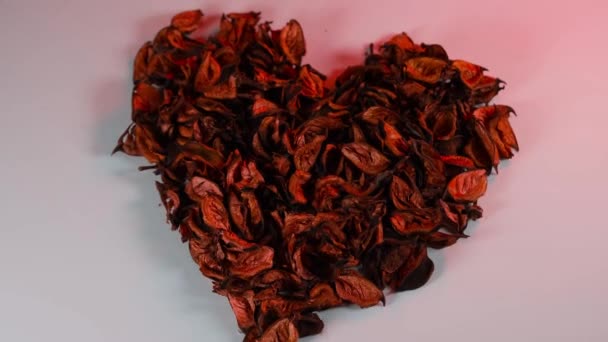 Rose petals heart — Stock Video