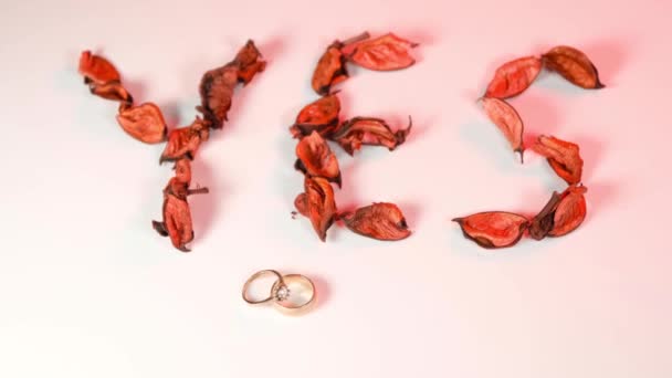 Proposal pernikahan 3 versi — Stok Video