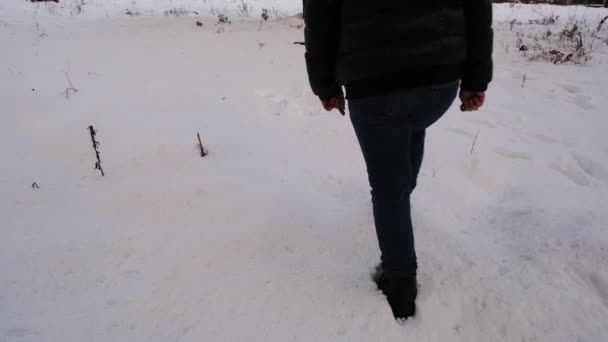 雪の中を歩く — ストック動画